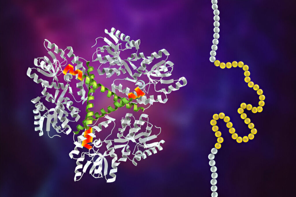 Pyruvate Kinase Deficiency